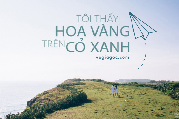Trọn bộ cẩm nang du lịch Phú Yên phá đảo xứ hoa vàng
